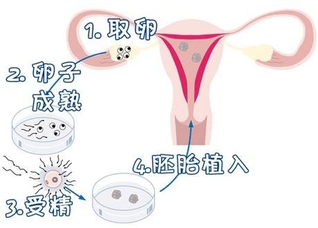 周立行