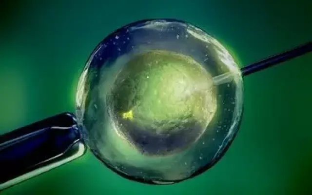 试管供卵公司